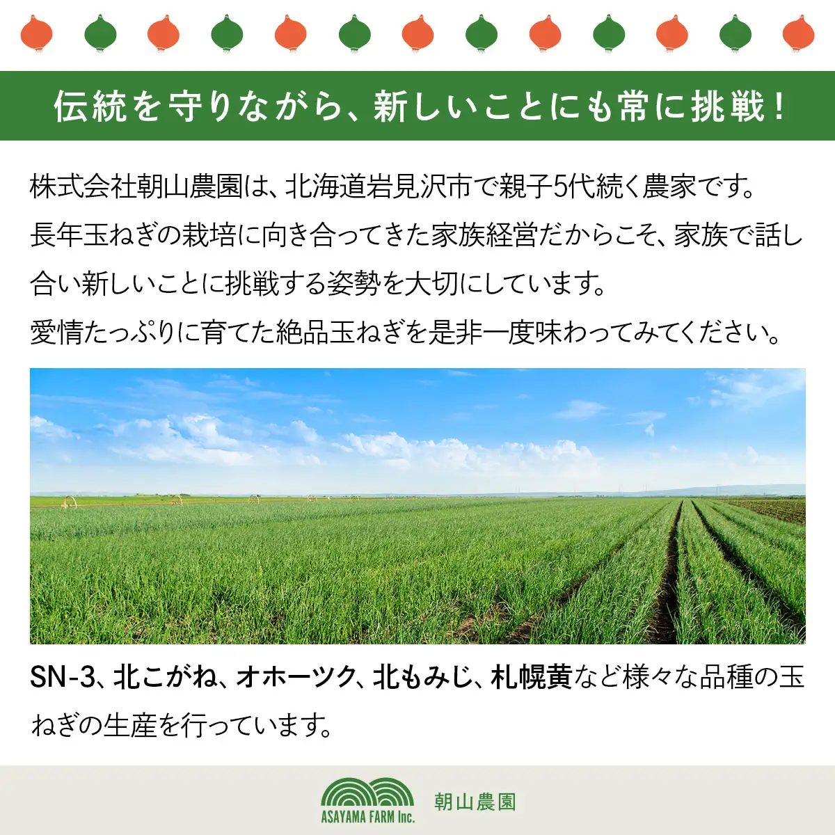 畑から直送の新鮮野菜！玉ねぎ（北もみじ2000）10kg【a168-008】