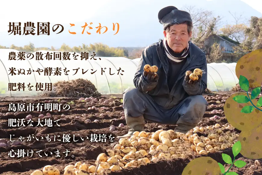 AK077 じゃがいも ながさき黄金 出島 じゃがいも食べ比べセット 計5kg
