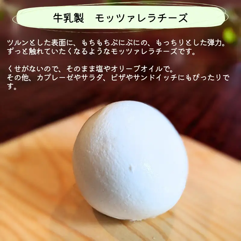 【限定：11月～3月発送・牛乳使用】季節のチーズ3種セット