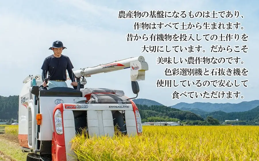 【令和8年産】 ミルキークイーン 無洗米 10kg (5kg×2袋)  山形県庄内産 小池半左衛門