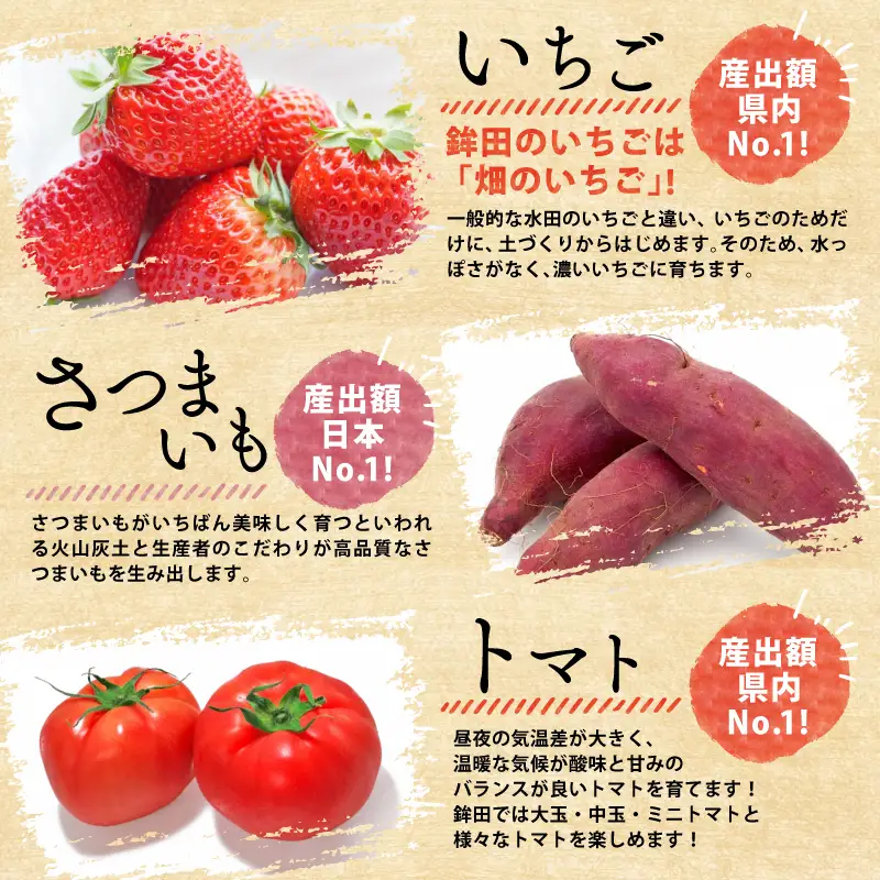 米 新米 令和8年産 コシヒカリ 10kg