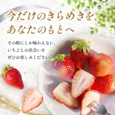 【先行予約 2027年1月中旬以降発送】旬の品種を厳選 きらめく旬のいちご 約180g【配送不可地域：離島・沖縄県】【1778748】