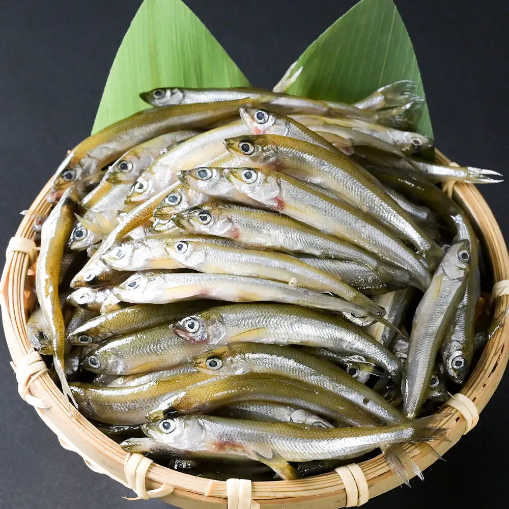 十和田湖わかさぎ 約1kg（約500g×2パック） 冷凍