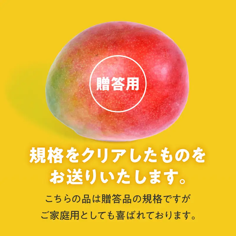 【2027年6月以降お届け】くるめで育った完熟マンゴー（5～6玉：約1.7kg） 〔Fm010-056〕