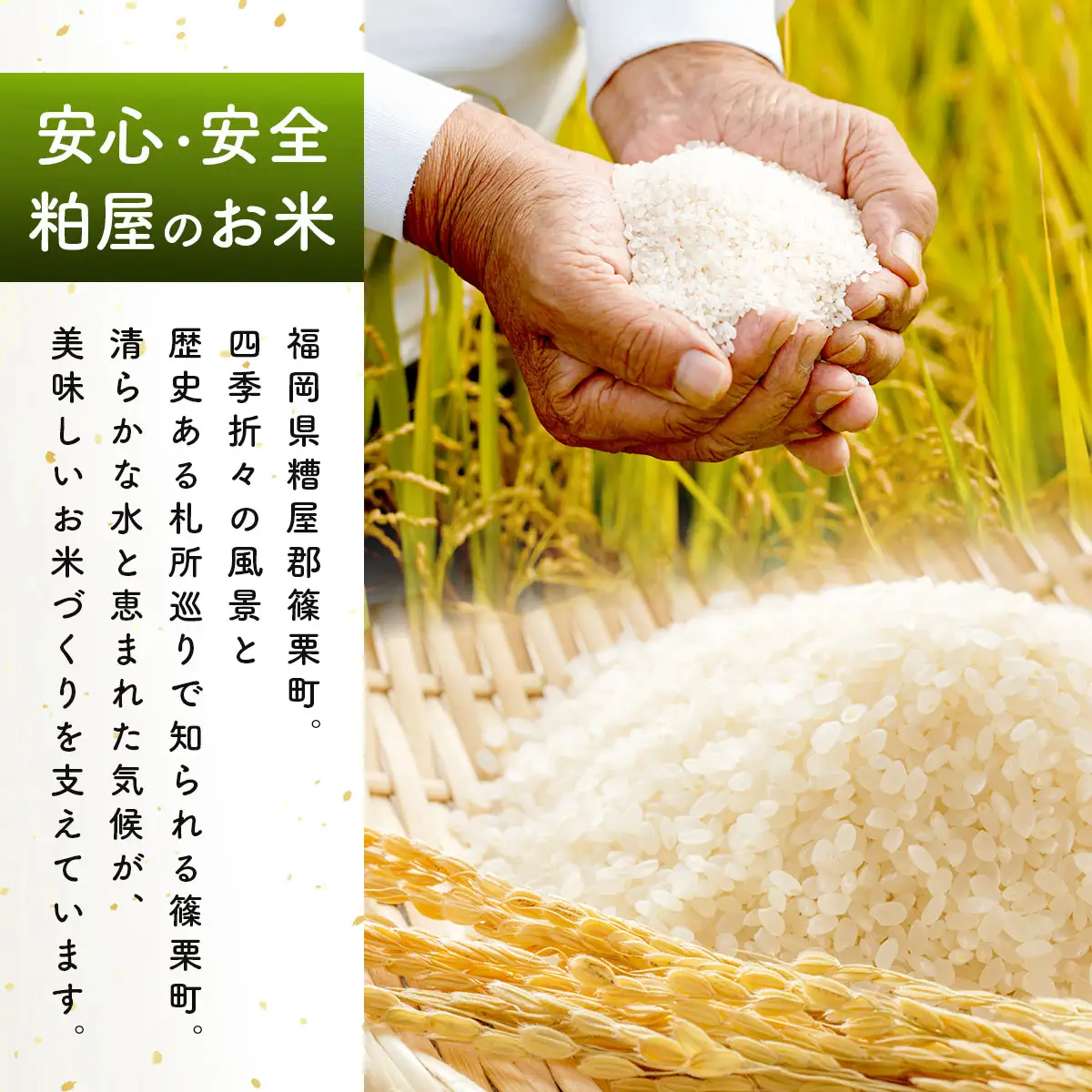 令和7年産 かすやそだち米「夢つくし」精米 10kg (5kg×2)【KN002】
