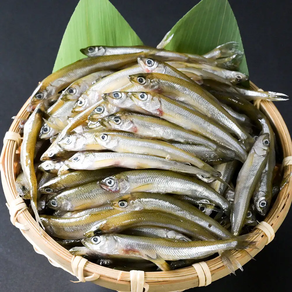 【冷凍】十和田湖わかさぎ 約500g