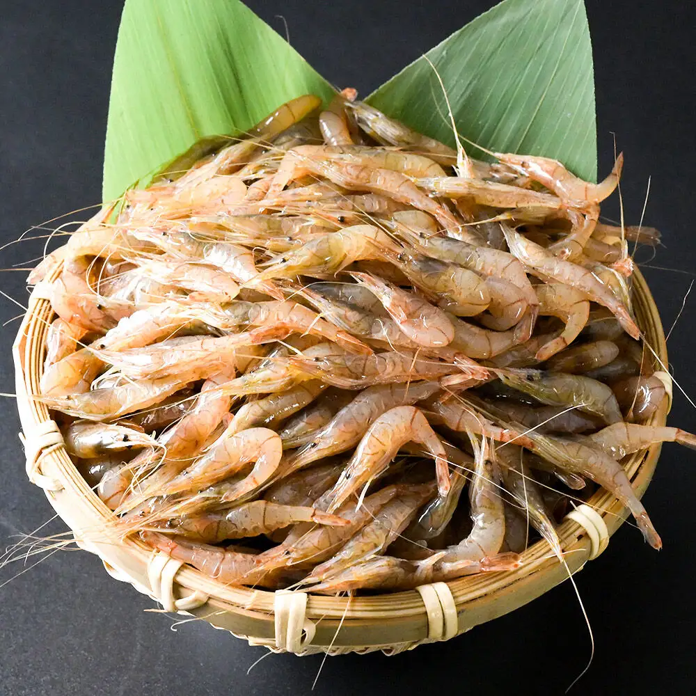 【冷凍】十和田湖すじえび 約500g