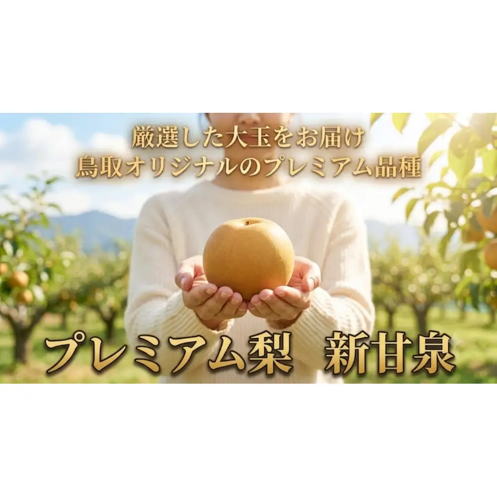 【先行予約】鳥取県産 新甘泉 梨 4Lサイズ 6玉 大玉  しんかんせん なし フルーツ 果物 鳥取オリジナル