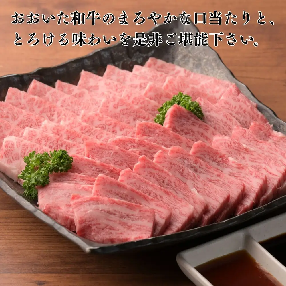 おおいた和牛 食べ比べ セットA (上カルビ 上ロース)  合計 600g 3~4人前 | 津久見市