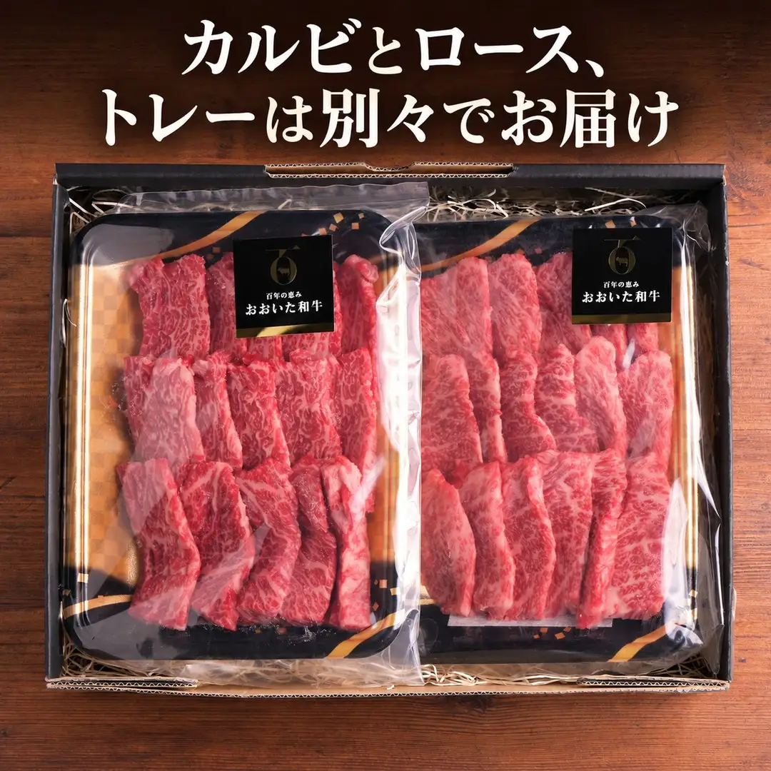 おおいた和牛 カルビ  ロース 焼肉 セット 合計 約500g | 津久見市