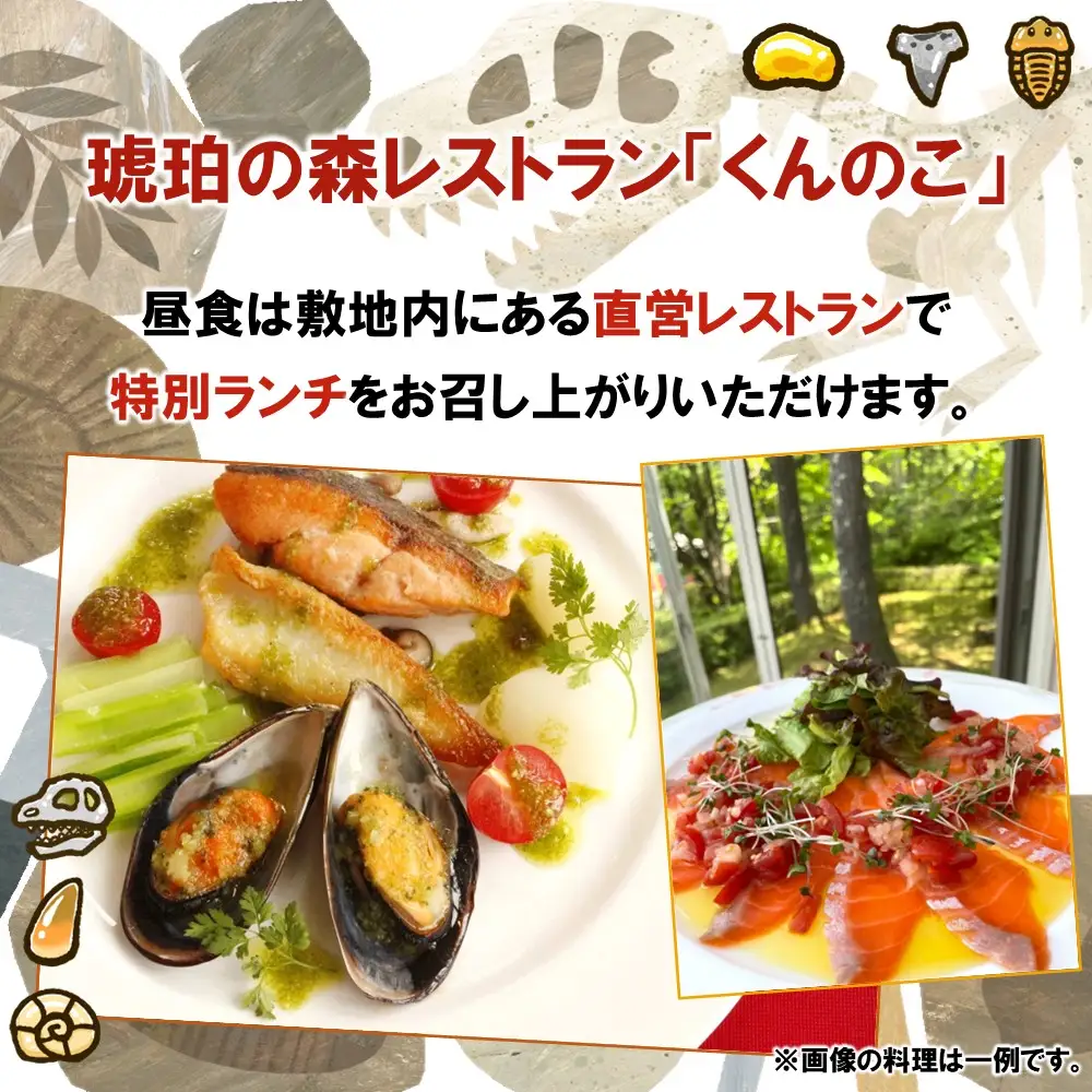 ＼まるっと１日琥珀を堪能しよう／「琥珀まるごと体験プラン」１名様分