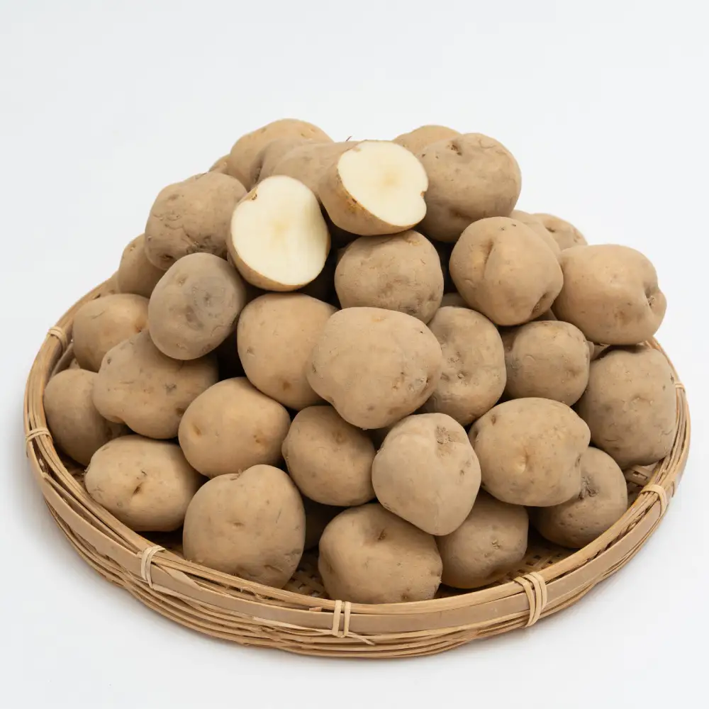 じゃがいも （ 男爵 ） Lサイズ 約10kg × 1箱 約10kg （ JA ） ジャガイモ ポテト いも イモ 芋 男爵イモ 野菜 やさい 甘味 ホクホク 国産 北海道産 【 2026年9月下旬～2027年2月下旬迄発送予定 】