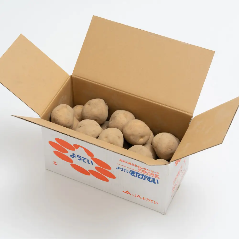 じゃがいも （ 男爵 ） Lサイズ 約5kg × 1箱 ・ じゃがいも （ きたかむい ） Lサイズ 約5kg × 1箱 （ JA ） 計約10kg ジャガイモ ポテト いも イモ 芋 男爵イモ 野菜 やさい 食べ比べ 詰め合わせ セット 国産 北海道産 【 2027年1月上旬～2月下旬迄発送予定 】