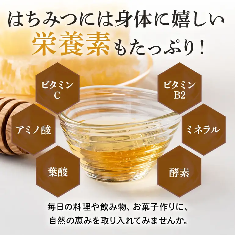 はちみつ 百花 プラボトル 300g 6本 (Y019-002)