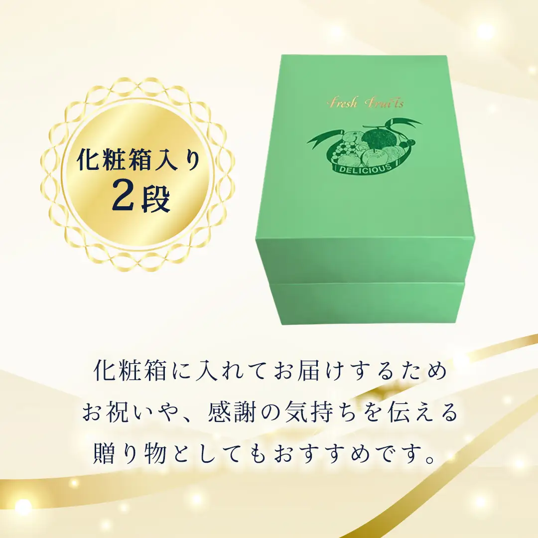 定期便【化粧箱入り2段】厳選フルーツ10〜12種プレミアムセット【毎月1回連続6か月(計6回)】（茨城県共通返礼品） 旬の果物 ギフト