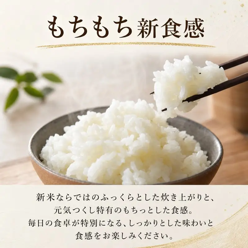 《令和8年産 新米 》  元気つくし 5kg 玄米 ｜米 TBS