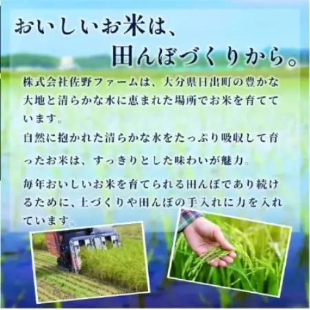 【令和8年産】にじのきらめき 10kg【1778368】