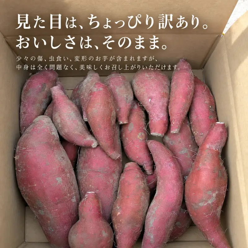 【 訳あり 】 さつまいも サツマイモ 紅はるか 10kg 生芋