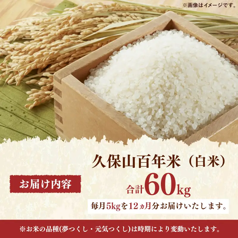 令和8年産【先行予約】【定期便12回】久保山百年米 特別栽培米 白米 5kg 夢つくし/元気つくし【定期便 精米 お米 米 ご飯 ごはん ブランド 元気つくし 夢つくし 農家直送 福岡県 筑前町 BT057】