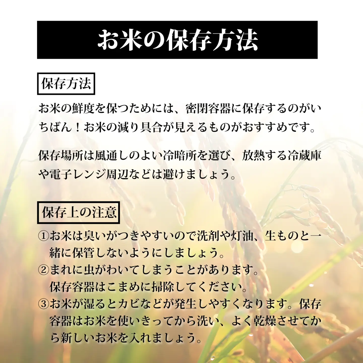 【定期2回】《精米》令和8年宮城県大崎市産 ひとめぼれ 5kg*2回 | tm-htm-5kg-r8-t2
