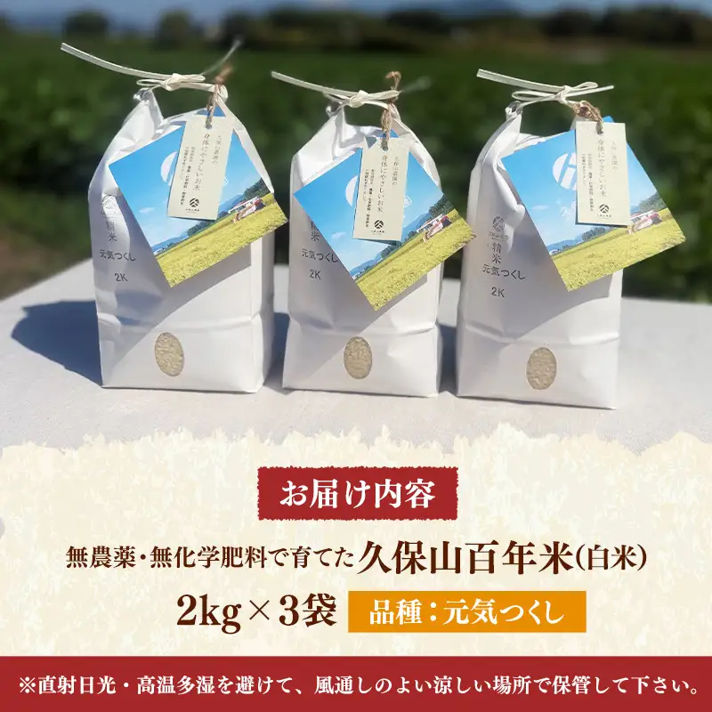 令和8年産【先行予約】無農薬・無化学肥料で育てた久保山百年米 白米 6kg(2kg×3袋) 元気つくし【精米 お米 米 ご飯 ごはん ブランド 元気つくし 農家直送 福岡県 筑前町 BT064】