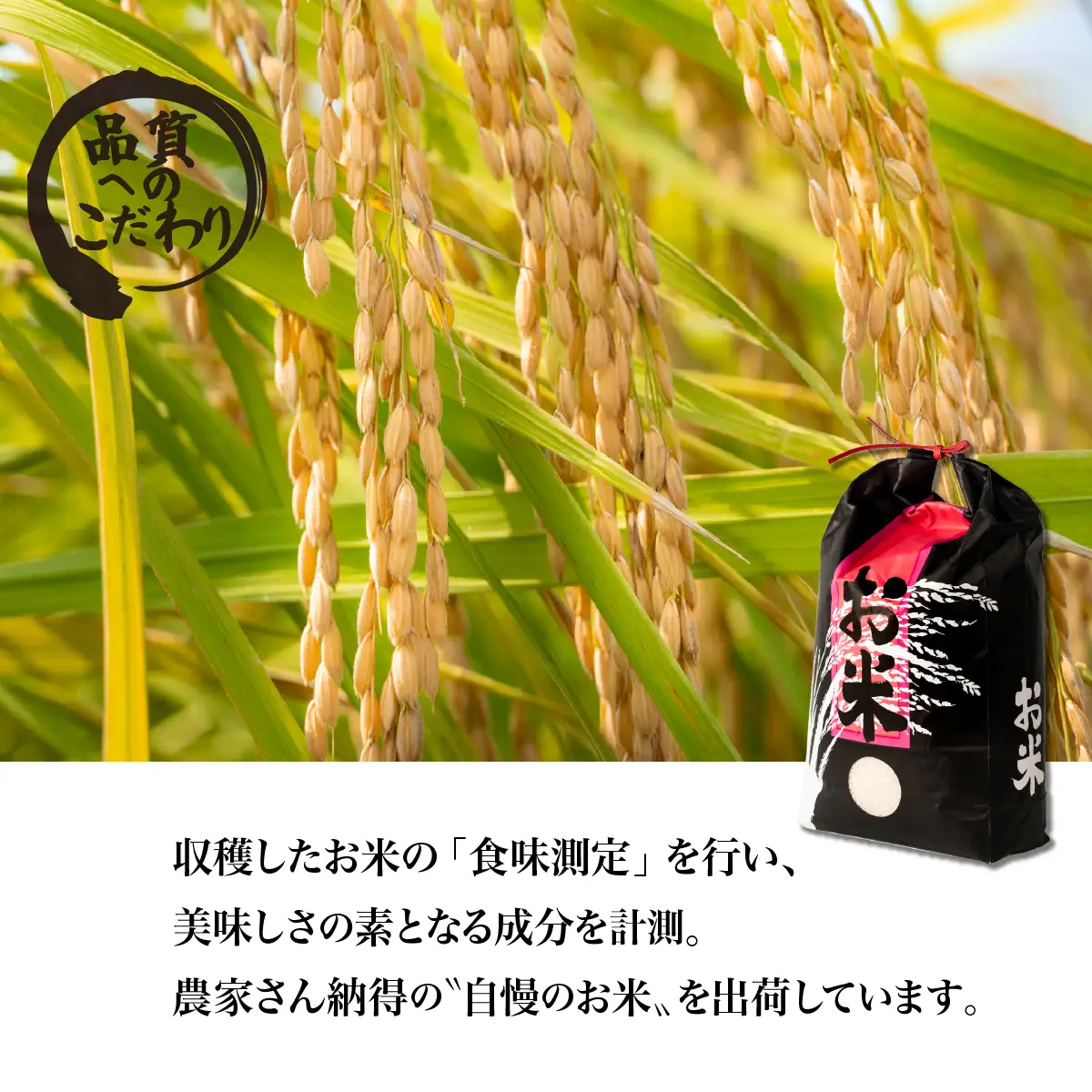 精米 10kg 令和8年産 コシヒカリ 茨城県 下妻市産
