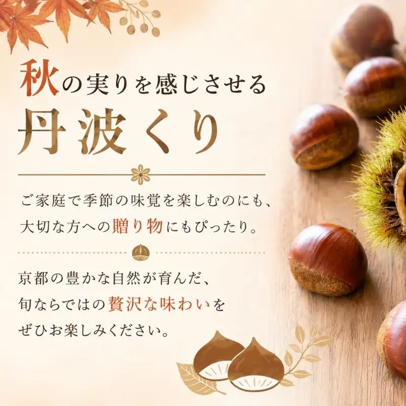 先行予約 2026年度産 丹波くり 約1kg 3Lサイズ 栗 京都