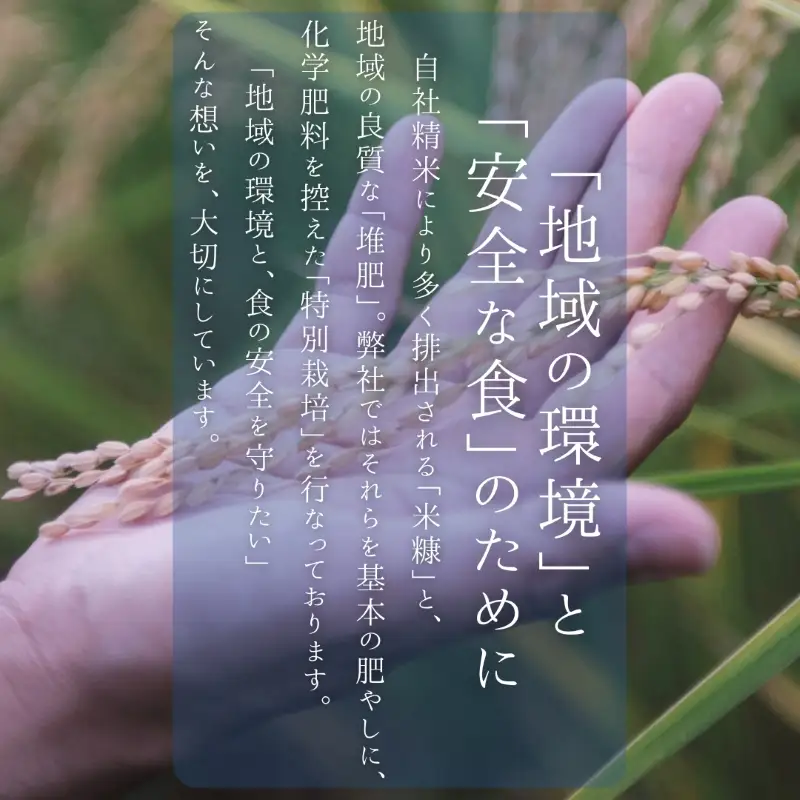 【令和8年度新米】八ヶ岳の余韻 農林48号 5kg×2袋 [h183]