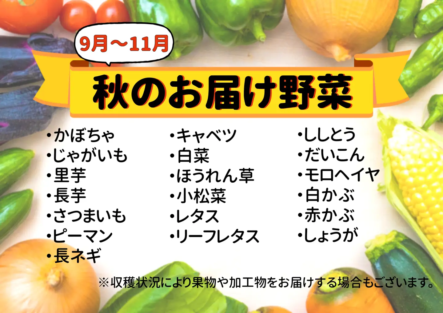 七宗町から発送　新鮮野菜詰めあわせセット(季節の野菜7～8種類) 七宗町ふるさと開発