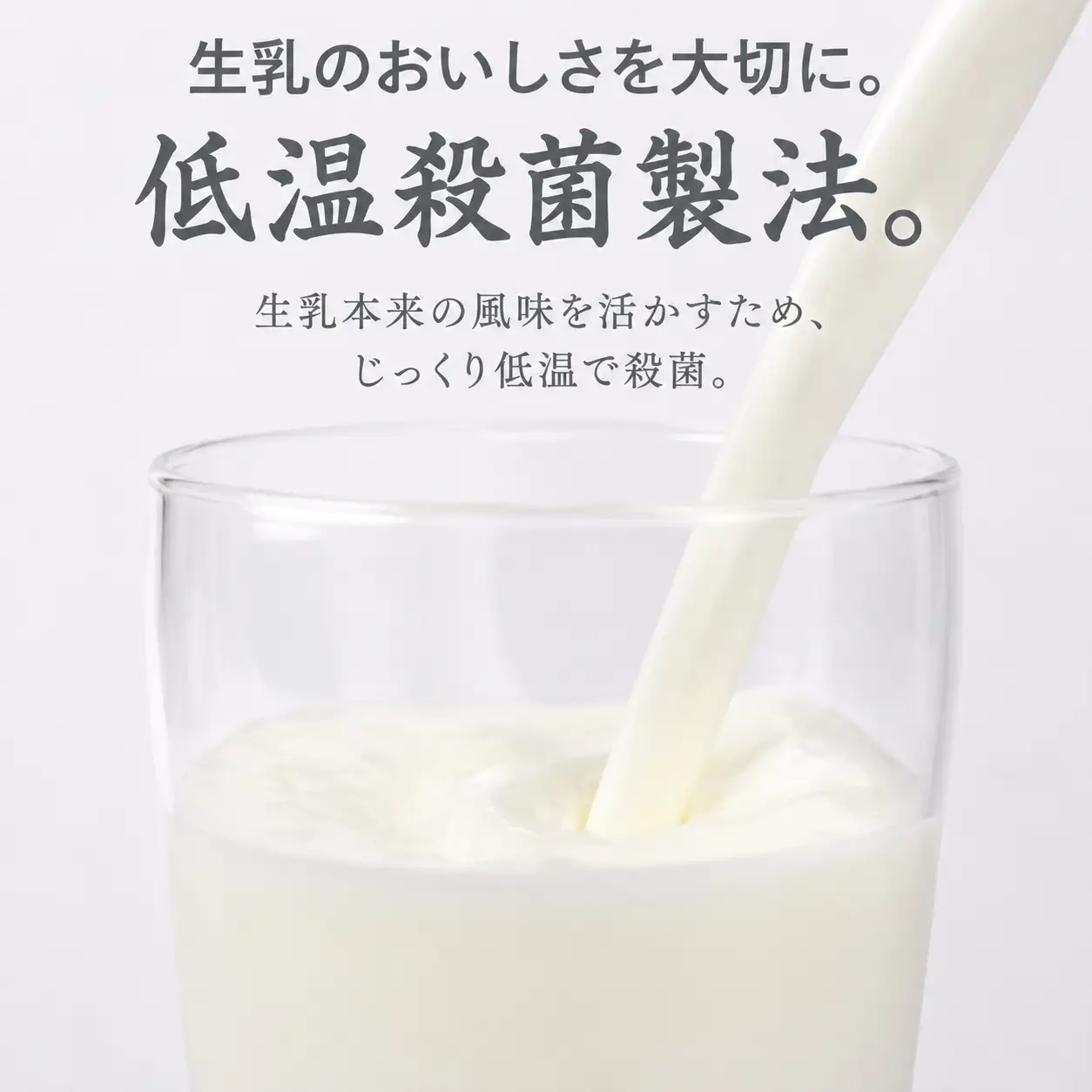【乳しぼりをした日がわかる】 低温殺菌牛乳 3本 牛乳