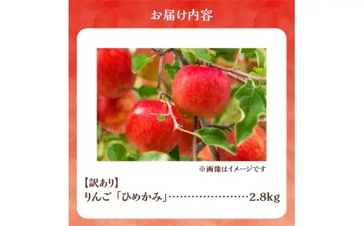 【先行予約：2026年10月上旬より発送】訳アリ りんご（ひめかみ）2.8kg【北海道余市町産】_Y103-0096