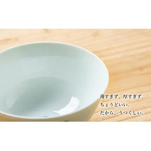 G454p 〈嘉久正窯〉千鳥 茶碗 6寸皿 計4点セット 手描き 染付 飯碗 茶碗 ケーキ皿 パン皿 盛り皿
