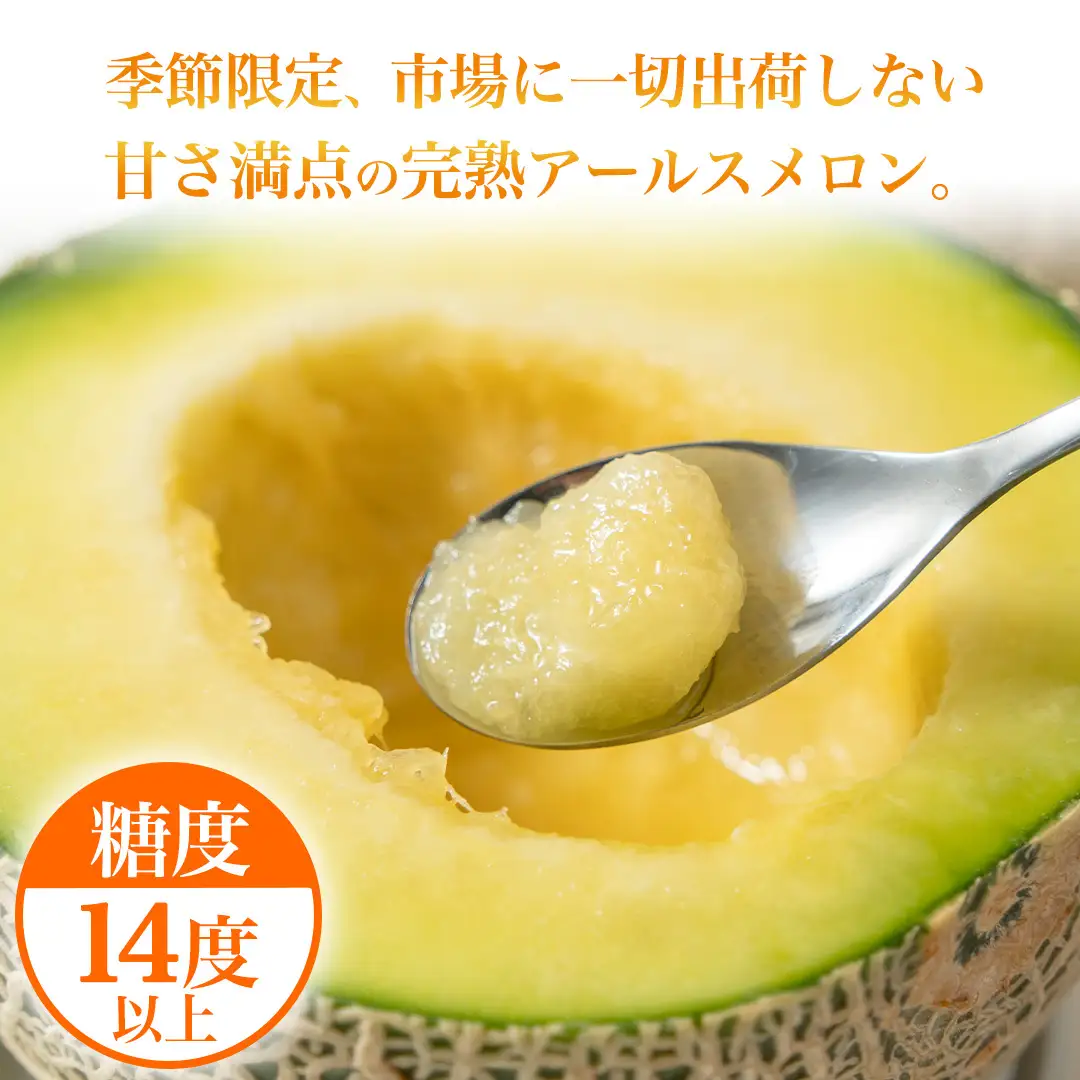 《 2027年 発送 》 訳あり アールスメロン 2玉 果物 フルーツ 青肉メロン マスクメロン メロン くだもの 訳アリ [BC098sa]