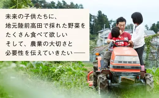 【定期便3ヶ月】農家のおすそわけ（訳アリ）野菜便【 農家 野菜詰め合わせ 野菜 詰め合わせ セット 訳あり 】RT3405