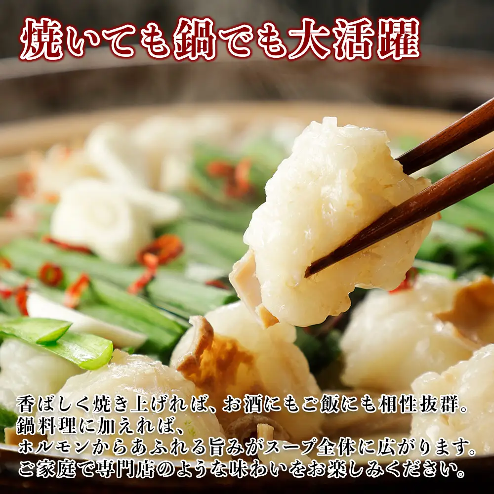 【定期便12回】希少な和牛ホルモン！ 熊本和牛 あか牛 ホルモン 500g (250g×2パック) × 12回