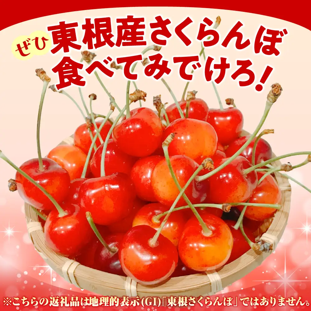 2027年産 4月配送 温室 さくらんぼ 佐藤錦 秀2L 24粒 さくらんぼ