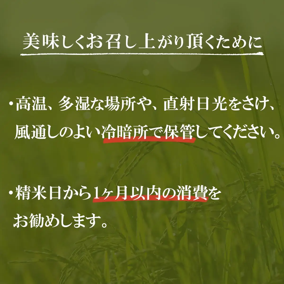 ミルキークイーン 新米 精米 5kg 11月出荷 ミルキークイーン
