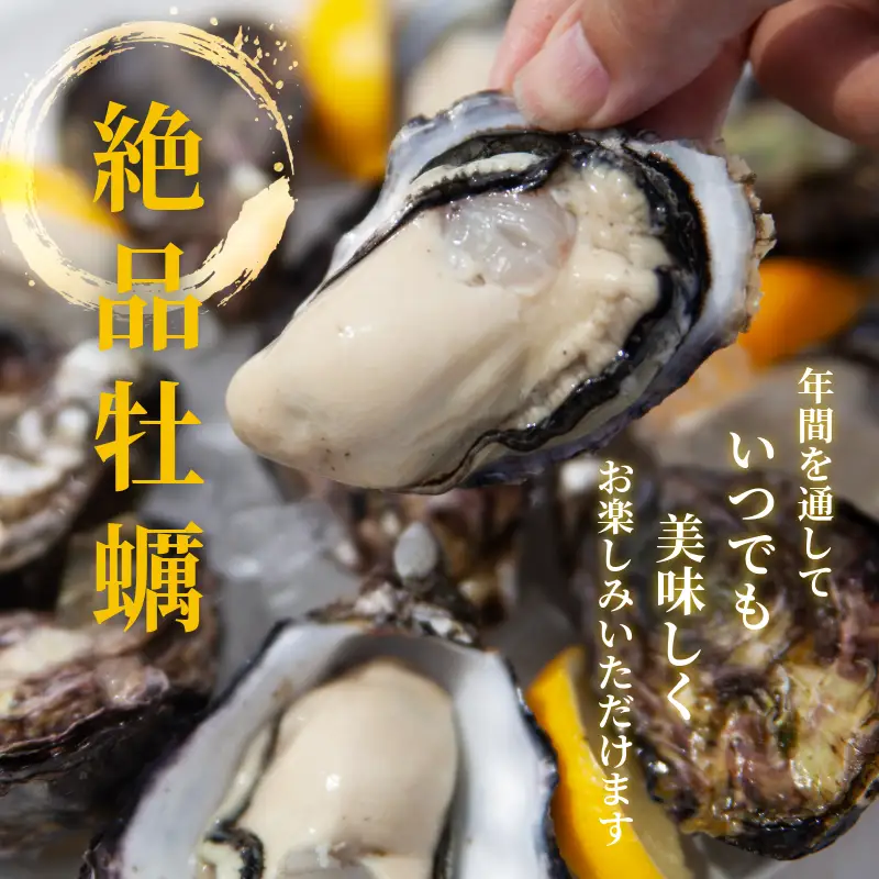 愛南 オイスター 2kg  牡蠣 加熱用 殻付き 牡蠣