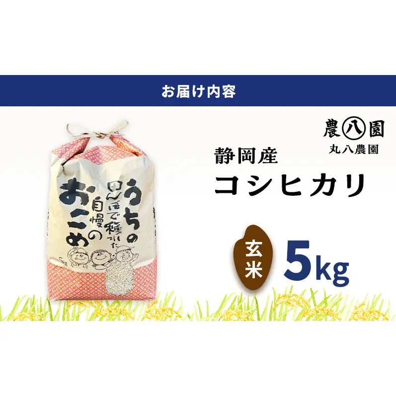 令和8年度産 静岡産 コシヒカリ 玄米 5kg 米 コメ こしひかり コシヒカリ 袋井市 静岡県