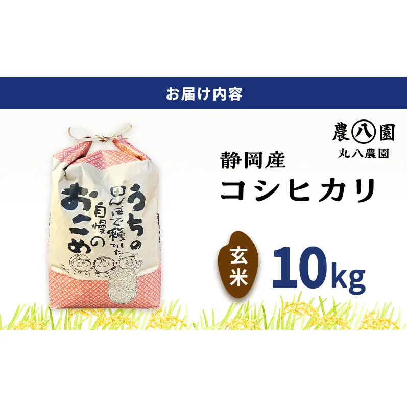 令和8年度産 静岡産 コシヒカリ 玄米 定期便 10kg×6カ月 米 コメ こしひかり コシヒカリ 袋井市 静岡県