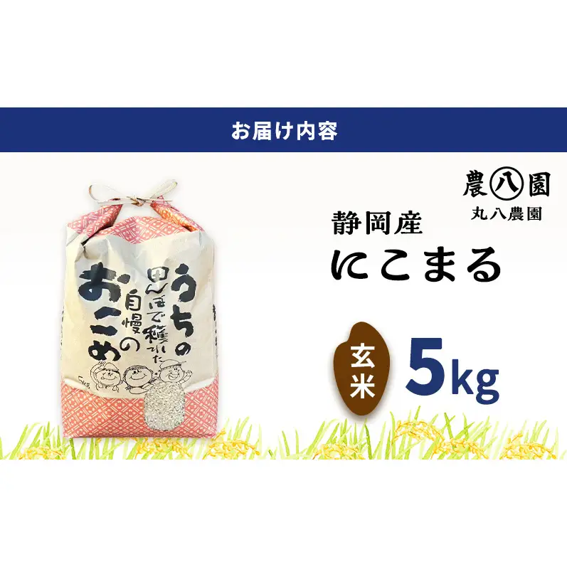 【予約】令和8年度産 静岡産 にこまる 玄米 5kg 米 コメ にこまる 袋井市 静岡県