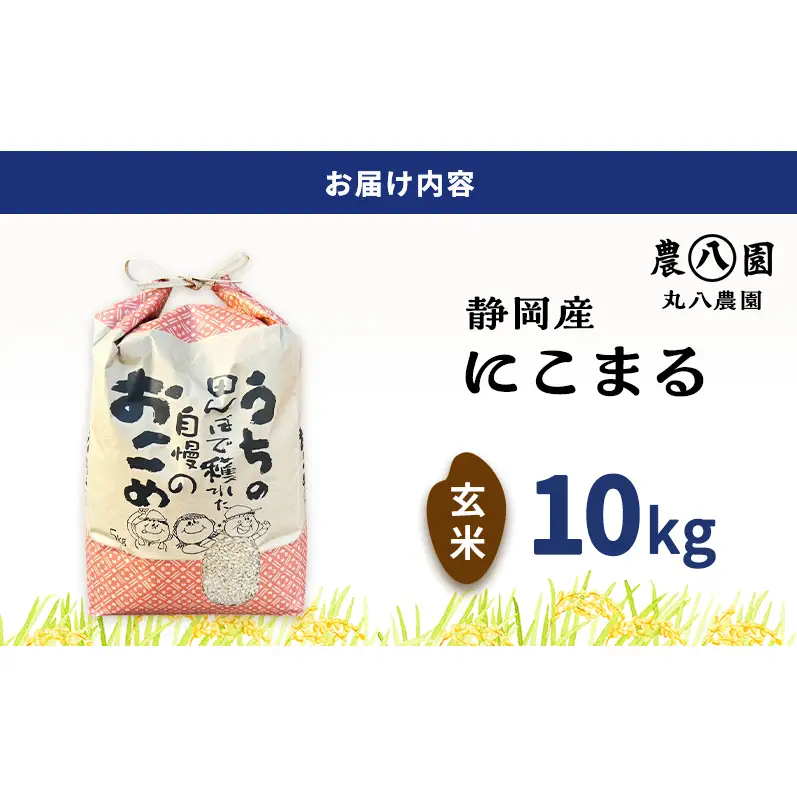 【予約】令和8年度産 静岡産 にこまる 玄米 定期便 10kg×6カ月 米 コメ にこまる 袋井市 静岡県