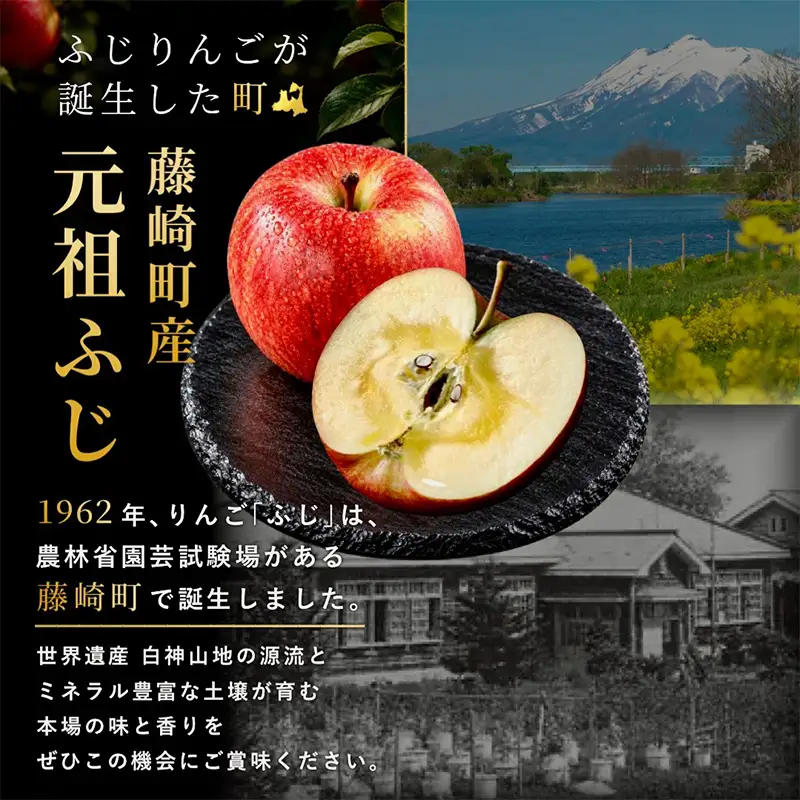 ≪先行予約≫ 【訳あり】 葉とらずサンふじ 中～大玉 約3kg (8～11玉) 【アップルアーク】 F41-0004
