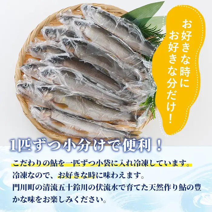 冷凍鮎(約1kg・10～14匹) 鮎 冷凍 小分け 国産 門川町産 宮崎県産 塩焼き あゆ 魚 魚介 川魚 養殖 香魚 甘露煮 【ME-04】【米良水産】