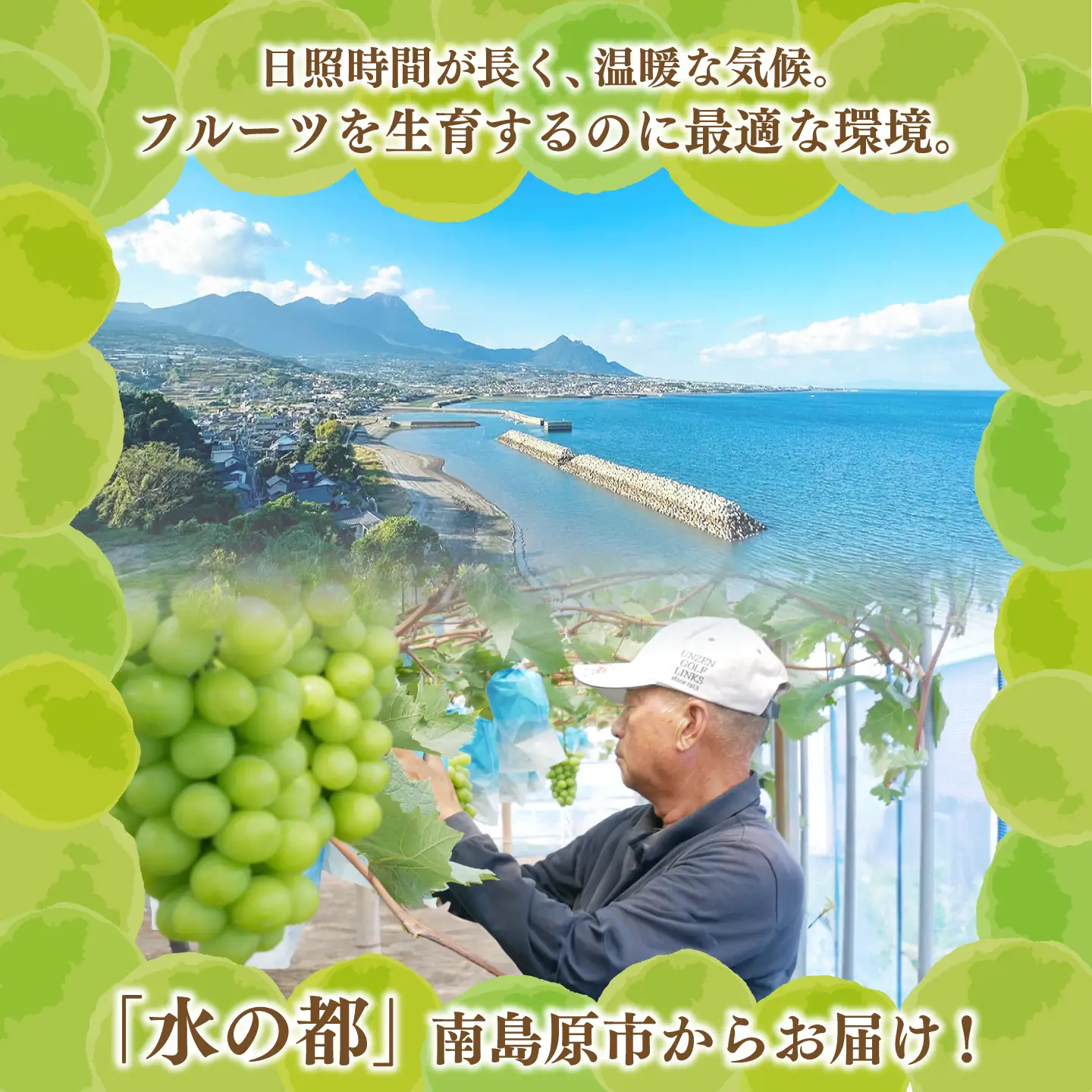 【2027年8月中旬-発送】【数量限定】【糖度18度以上】シャインマスカット 6房 3.6kg以上 (3房 1.8kg以上 × 2箱 / ぶどう ブドウ 葡萄 マスカット しゃいんますかっと フルーツ 果物 / 南島原市 / ミナサポ[SCW075]