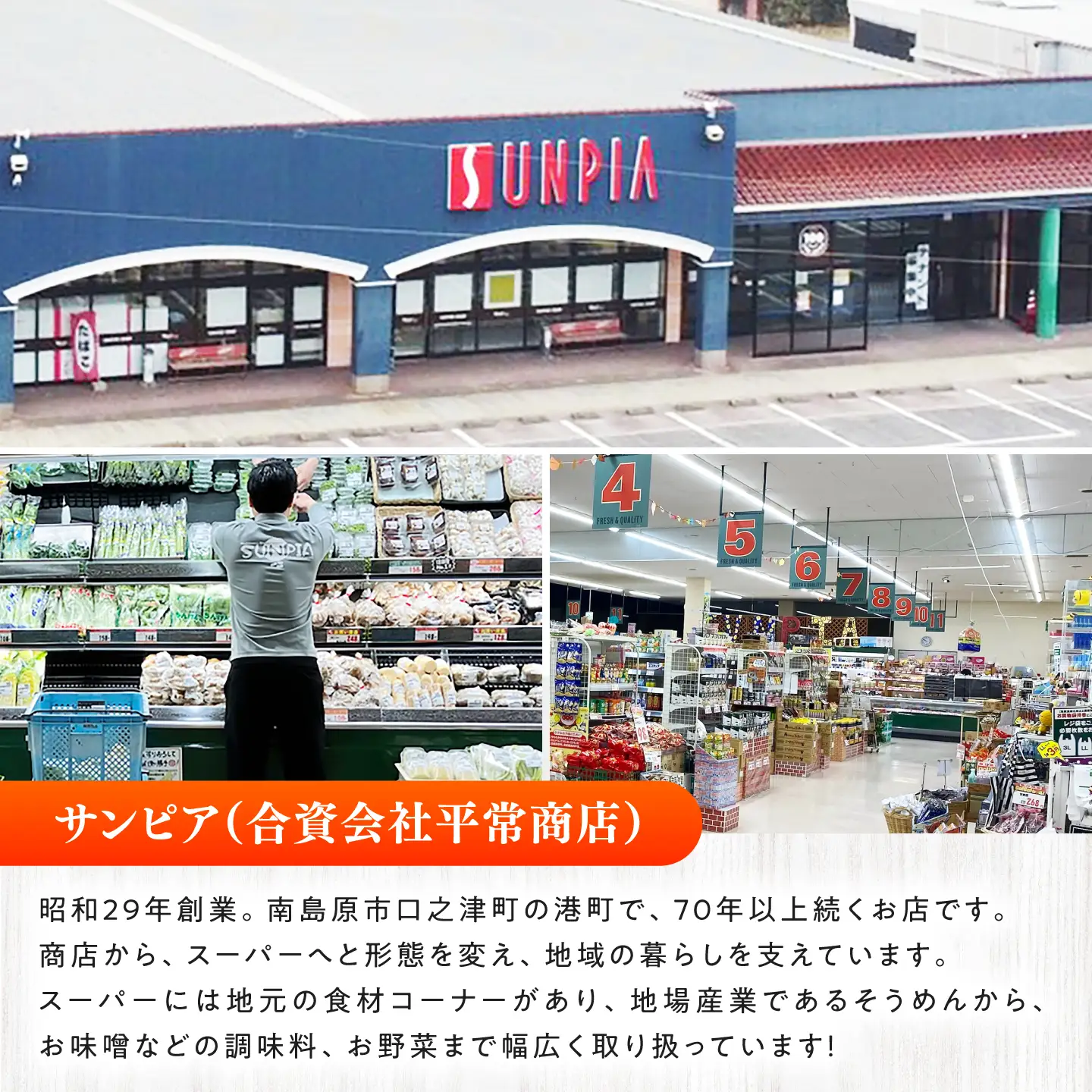 【12回定期便】＜配送時期が選べる＞採れたて野菜 お楽しみ便 ( 野菜 果物 きのこ 10品目以上 ) 野菜 フルーツ やさい 野菜セット 野菜定期便 旬 定期便 毎月 / 南島原市 / サンピア[SHB004]