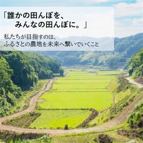 令和8年産 新米】小浦れんげ米(にじのきらめき) 無洗米 2kg【1779278