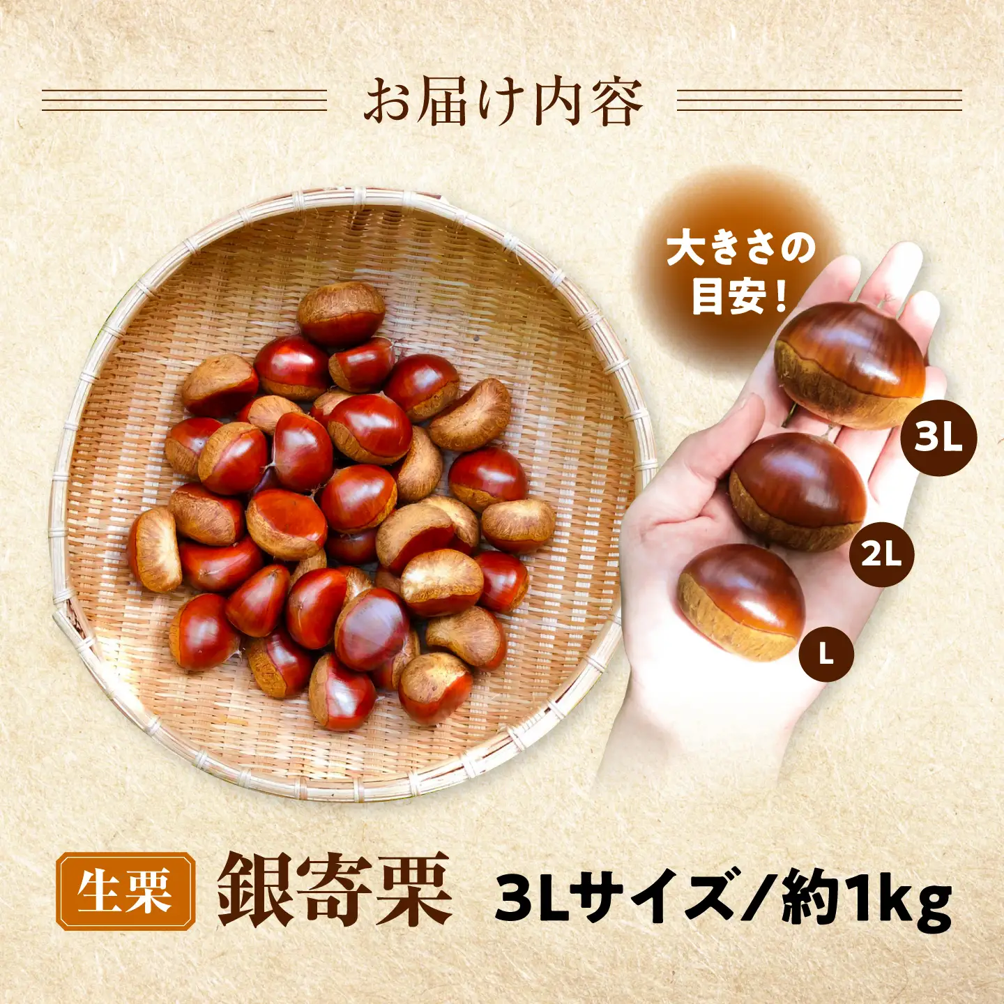 銀寄栗【先行予約】 特大3L 1kg 約30粒 栗 BKCC001
