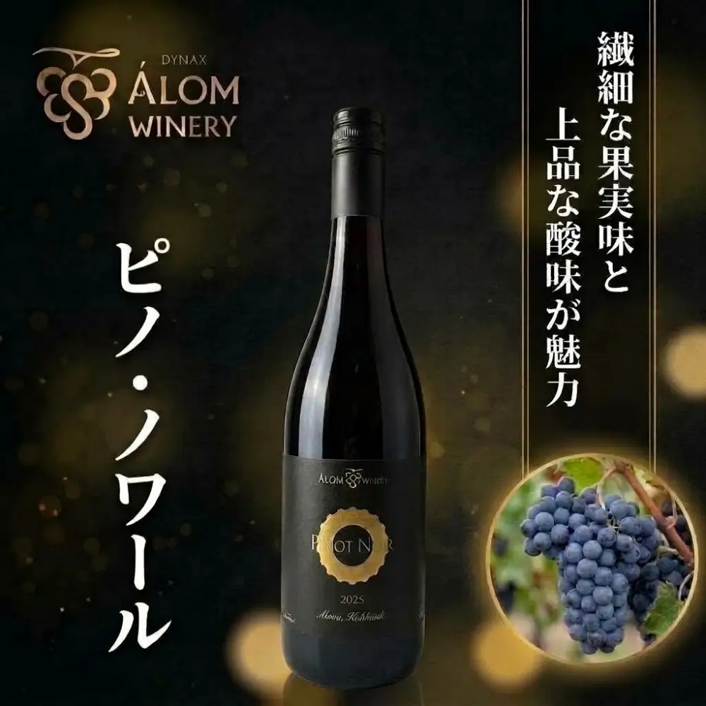 赤ワイン 2本 750ml ピノ・ノワール ツバイゲルト