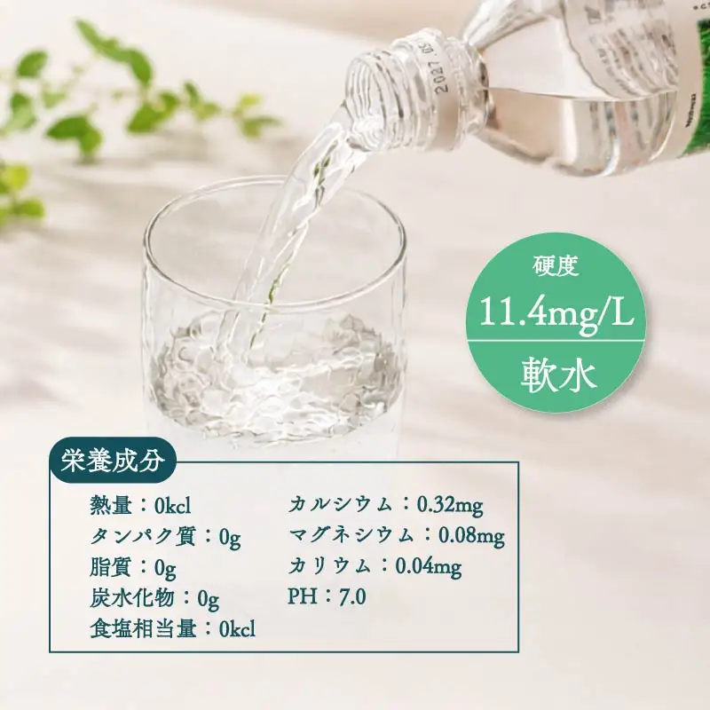 【定期便3回】 2L 12本 備蓄 ミネラルウォーター 天然水